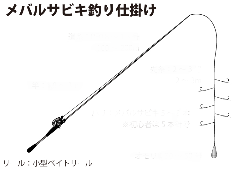 鳴門の船からサビキでメバルを釣る 道具 釣り方 連掛けのコツ