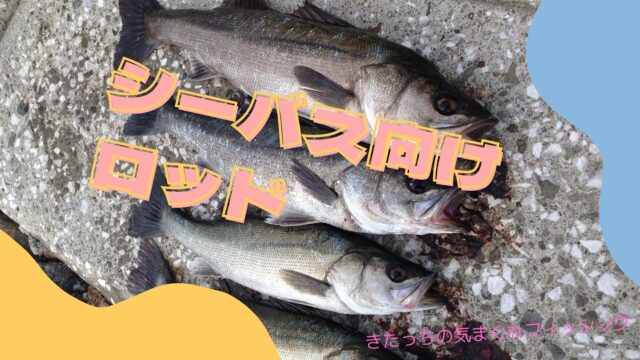 防波堤からシーバスをルアーで釣るオススメロッド14選